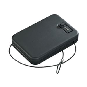 Portable Security Case with Combo Lock - Small