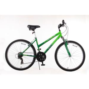 Ladies Trail 21 Mountain Bike/Green