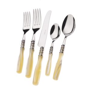 Arianna Brilliant 5 Piece Place Setting ivory