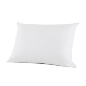 Clean Design Home X Allergen Barrier Down Pillow - Standard White