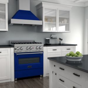 Pro 30'' Snow SS Dual Fuel Range - Blue Gloss