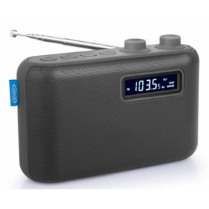 Portable AM/FM Digital Radio