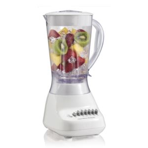 Smoothie 10 Speed Blender