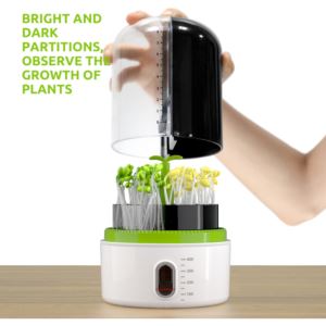 Plant Growth Station
