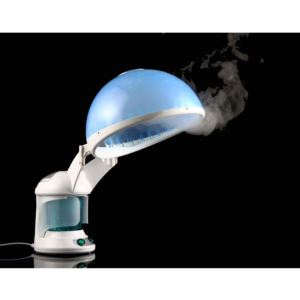 Hot Mist Nano Facial and Hair Steamer