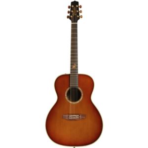 TF77-PT Acoustic-Electric Guitar with Case
