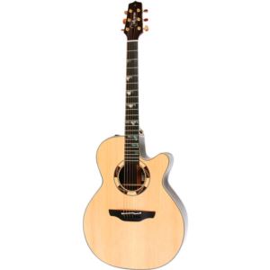 Tradesman Acoustic-Electric Guitar with Case