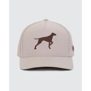 Bird Dog Hat