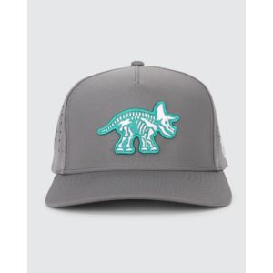 Triceraputts Hat