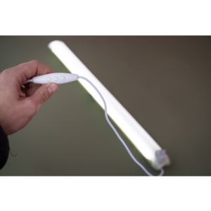 Everglow Light Tube Large