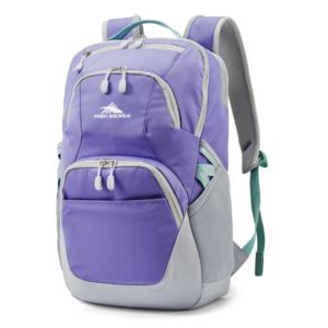 Swoop Backpack- 