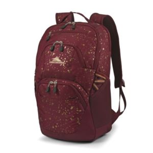 Swoop Backpack- 