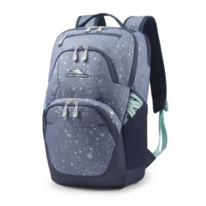 Swoop Backpack- 