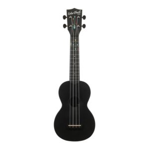 Learn to Play Color Chord Ukulele Starter Kit