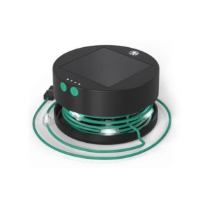 Luci Solar String Lights and Mobile Charger